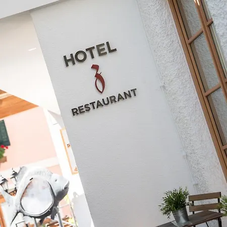 酒店 希沃特早内酒店 哈尔施塔特